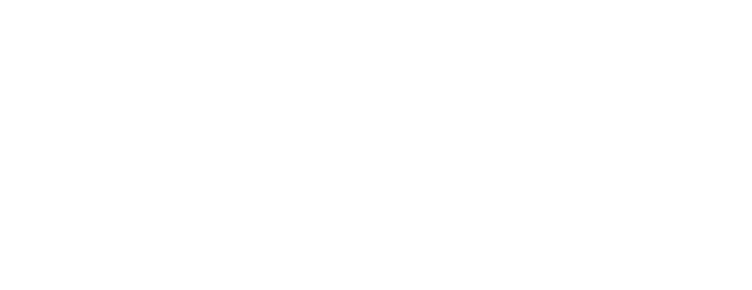 南智光电